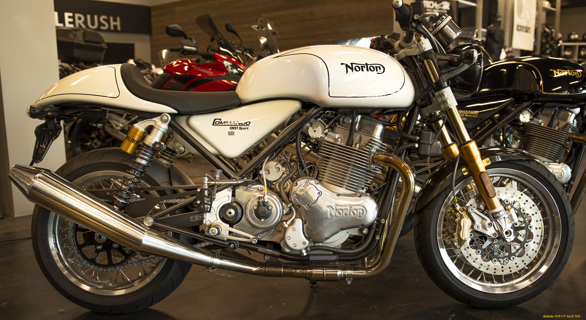 norton 3591, , norton, 